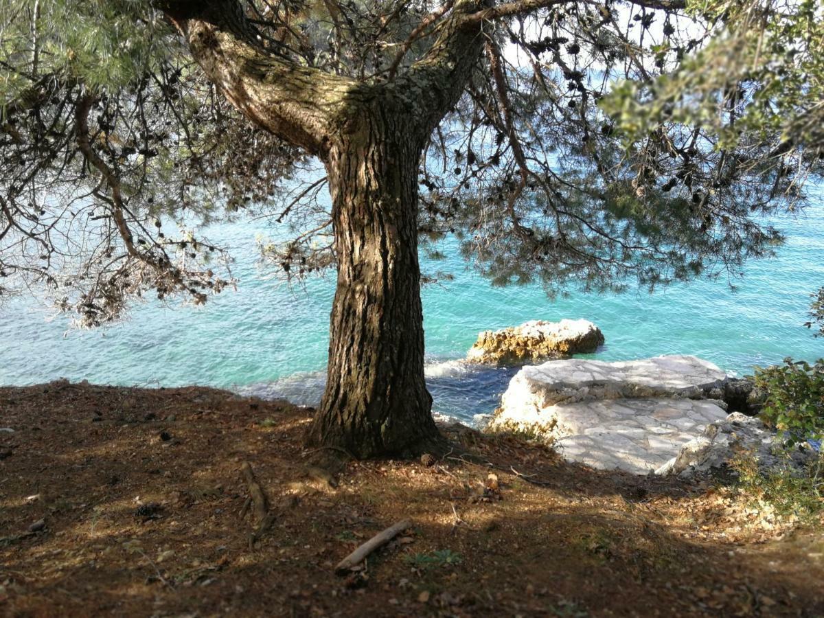 App Roko 2 Appartement Poreč Buitenkant foto